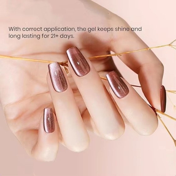 LBT NAIL Brown Magnetic Gel Polish with Magnet Stick (Copy) (Copy)